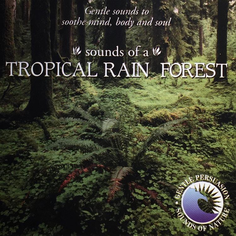 tropical rainforest